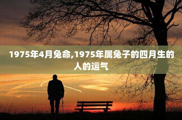 1975年4月兔命,1975年属兔子的四月生的人的运气