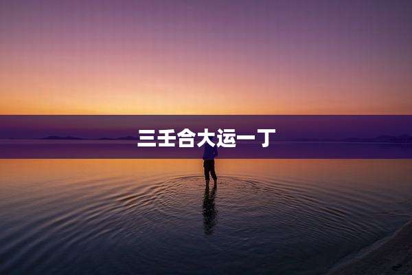三壬合大运一丁