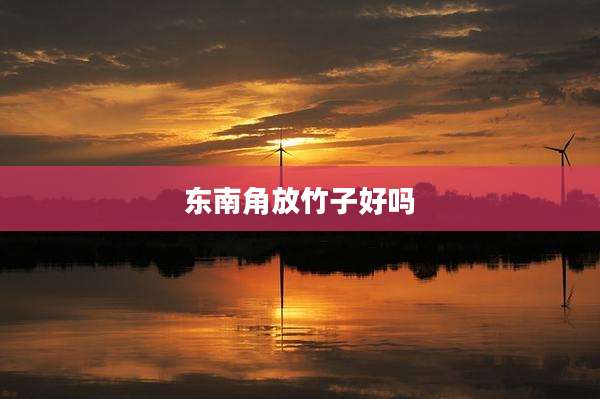 东南角放竹子好吗