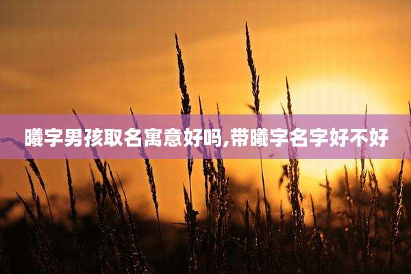 曦字男孩取名寓意好吗,带曦字名字好不好