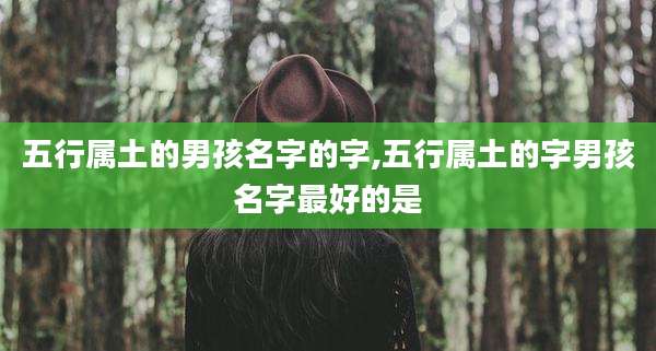 五行属土的男孩名字的字,五行属土的字男孩名字最好的是