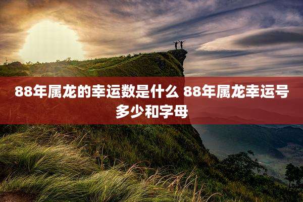 88年属龙的幸运数是什么 88年属龙幸运号多少和字母