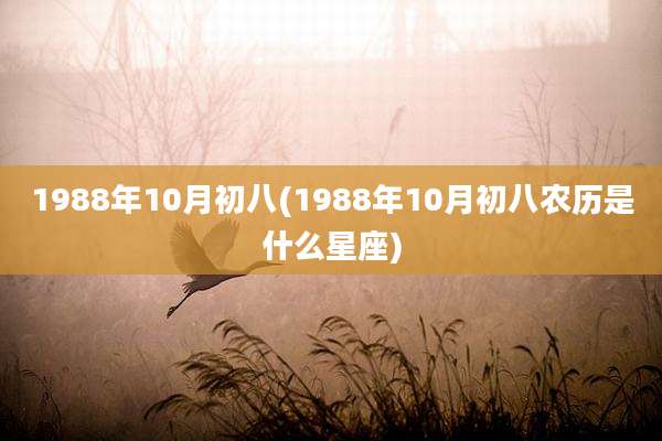 1988年10月初八(1988年10月初八农历是什么星座)