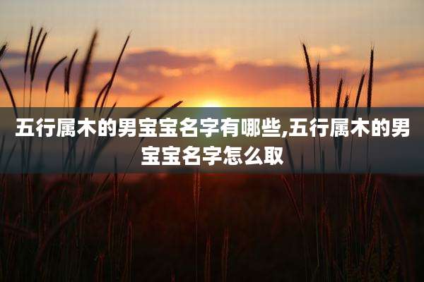五行属木的男宝宝名字有哪些,五行属木的男宝宝名字怎么取