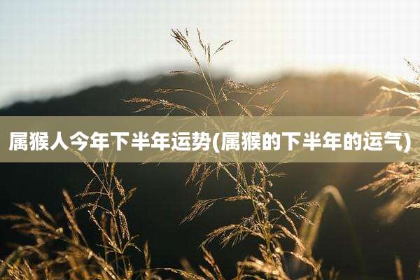 属猴人今年下半年运势(属猴的下半年的运气)