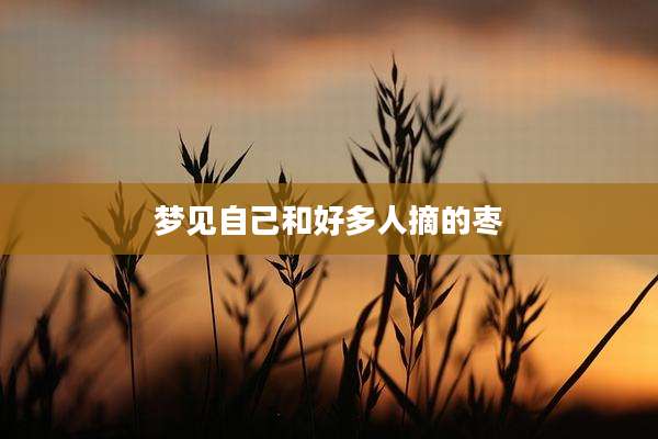 梦见自己和好多人摘的枣