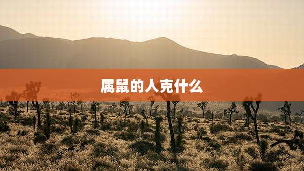 属鼠的人克什么