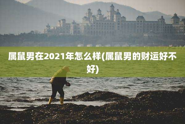 属鼠男在2021年怎么样(属鼠男的财运好不好)