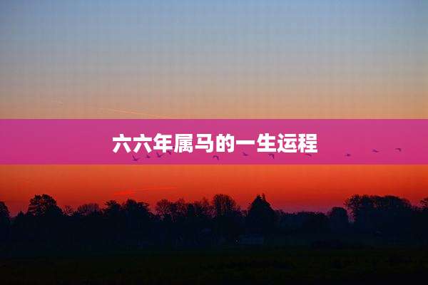 六六年属马的一生运程
