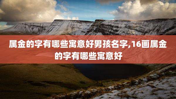 属金的字有哪些寓意好男孩名字,16画属金的字有哪些寓意好