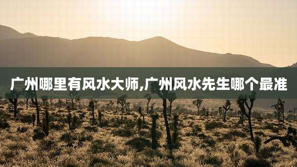 广州哪里有风水大师,广州风水先生哪个最准