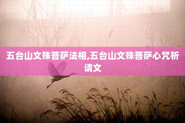 五台山文殊菩萨法相,五台山文殊菩萨心咒祈请文