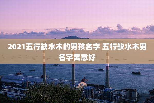 2021五行缺水木的男孩名字 五行缺水木男名字寓意好