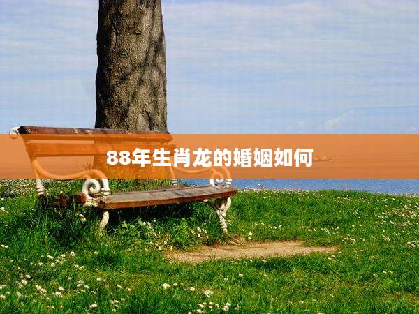 88年生肖龙的婚姻如何