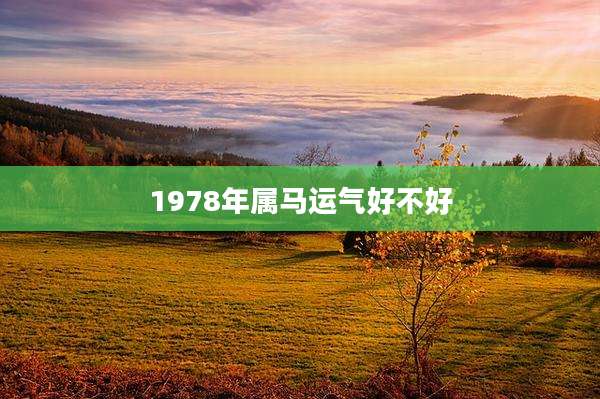 1978年属马运气好不好