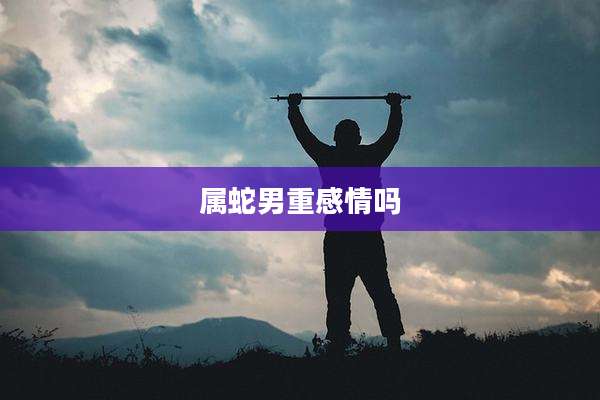 属蛇男重感情吗