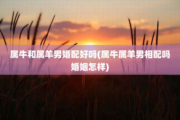 属牛和属羊男婚配好吗(属牛属羊男相配吗婚姻怎样)