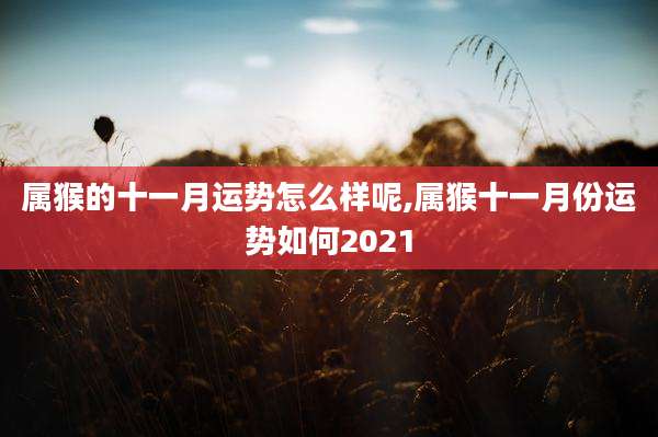 属猴的十一月运势怎么样呢,属猴十一月份运势如何2021