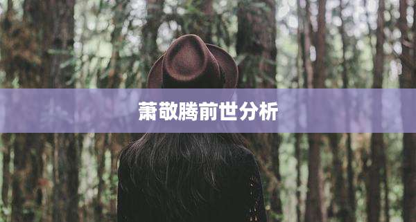 萧敬腾前世分析