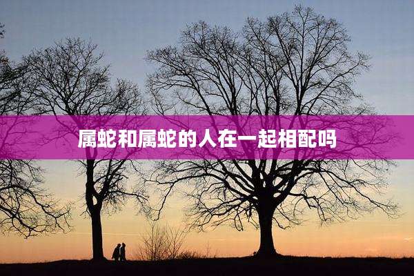 属蛇和属蛇的人在一起相配吗