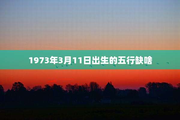 1973年3月11日出生的五行缺啥