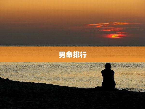 男命排行