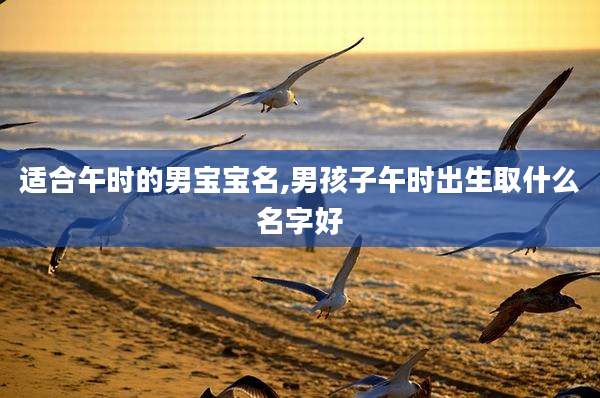 适合午时的男宝宝名,男孩子午时出生取什么名字好