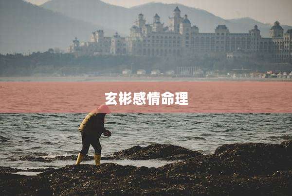 玄彬感情命理