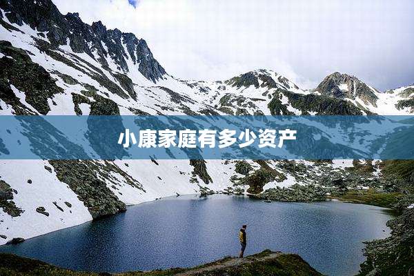 小康家庭有多少资产