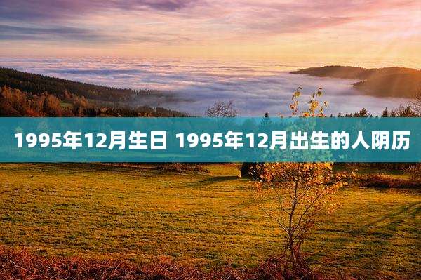 1995年12月生日 1995年12月出生的人阴历