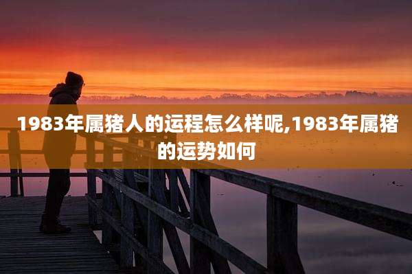1983年属猪人的运程怎么样呢,1983年属猪的运势如何