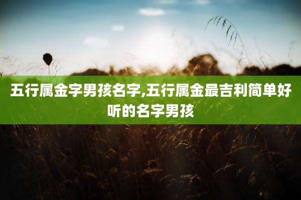 五行属金字男孩名字,五行属金最吉利简单好听的名字男孩