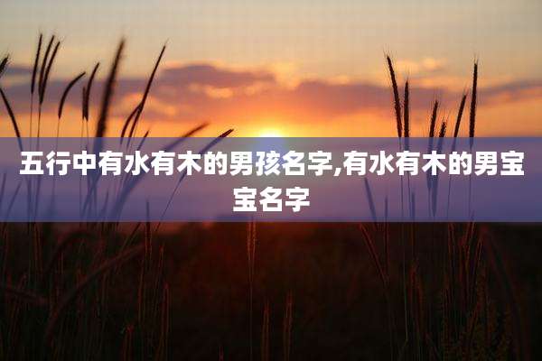 五行中有水有木的男孩名字,有水有木的男宝宝名字