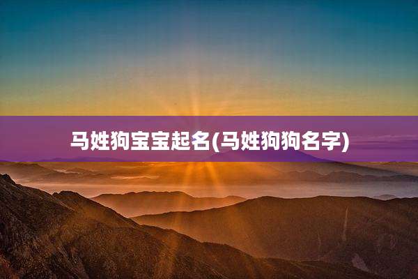 马姓狗宝宝起名(马姓狗狗名字)