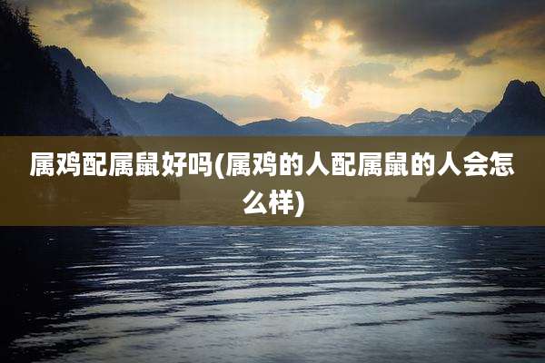 属鸡配属鼠好吗(属鸡的人配属鼠的人会怎么样)