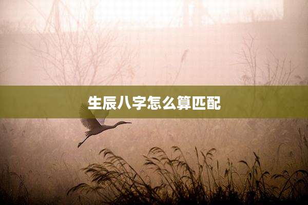 生辰八字怎么算匹配