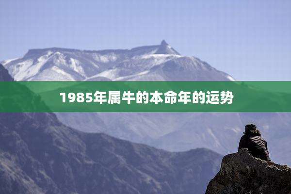 1985年属牛的本命年的运势