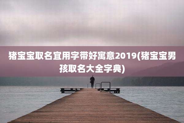 猪宝宝取名宜用字带好寓意2019(猪宝宝男孩取名大全字典)