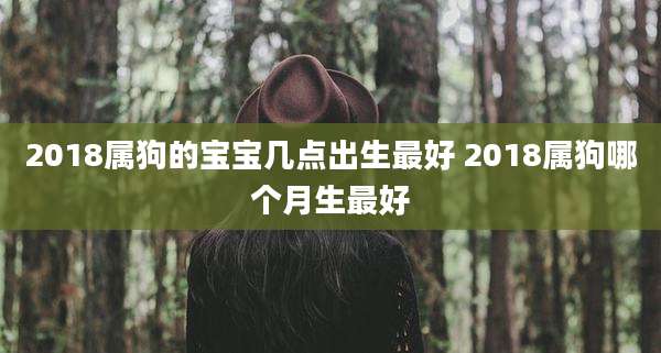 2018属狗的宝宝几点出生最好 2018属狗哪个月生最好
