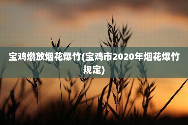 宝鸡燃放烟花爆竹(宝鸡市2020年烟花爆竹规定)
