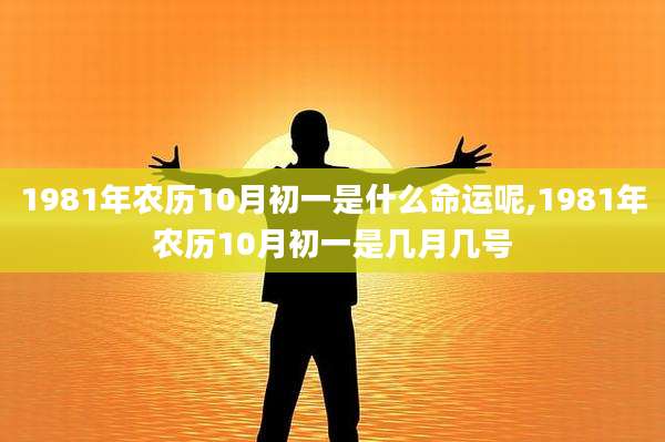 1981年农历10月初一是什么命运呢,1981年农历10月初一是几月几号