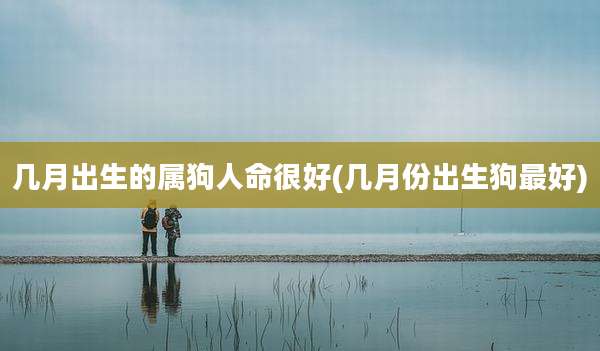 几月出生的属狗人命很好(几月份出生狗最好)
