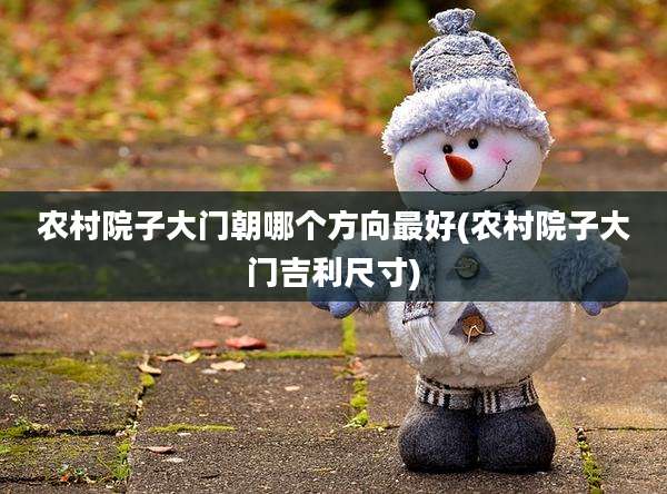 农村院子大门朝哪个方向最好(农村院子大门吉利尺寸)