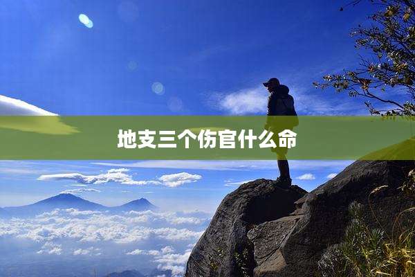 地支三个伤官什么命