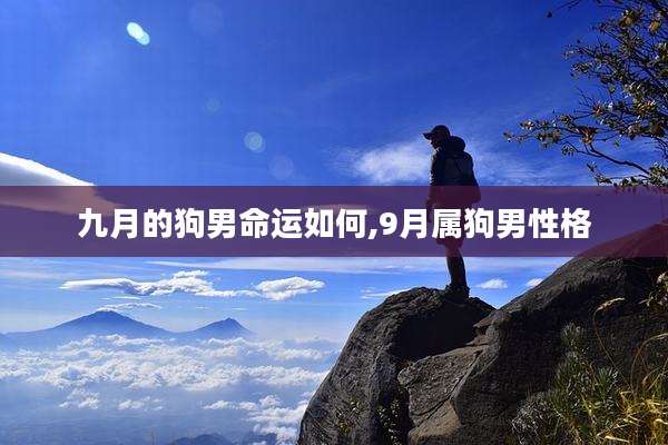九月的狗男命运如何,9月属狗男性格