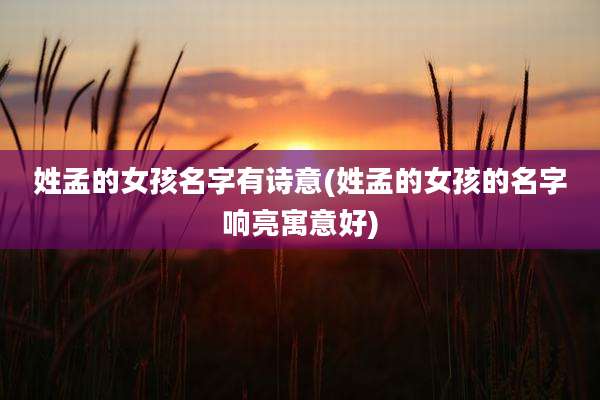 姓孟的女孩名字有诗意(姓孟的女孩的名字响亮寓意好)