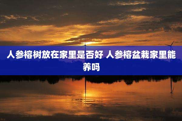 人参榕树放在家里是否好 人参榕盆栽家里能养吗