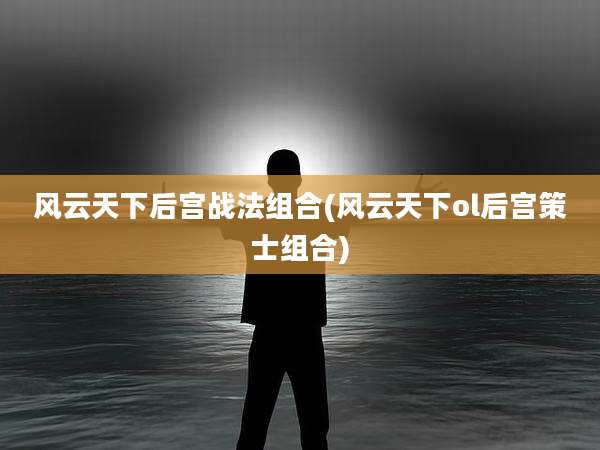 风云天下后宫战法组合(风云天下ol后宫策士组合)
