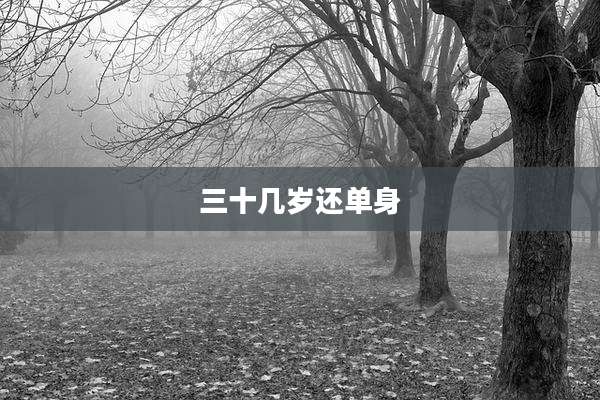 三十几岁还单身