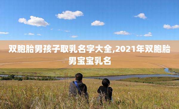 双胞胎男孩子取乳名字大全,2021年双胞胎男宝宝乳名